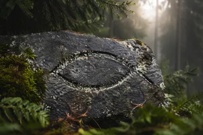 Ichthys Carved Stone in Evergreen Forest