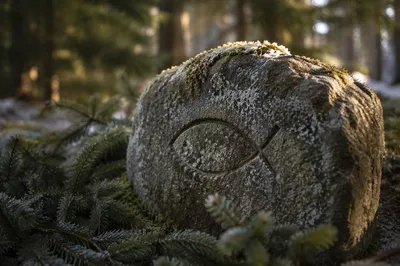 Ancient Ichthys Carving on Evergreen Stone