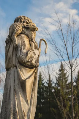 Good Shepherd Statue with Lamb Outdoors