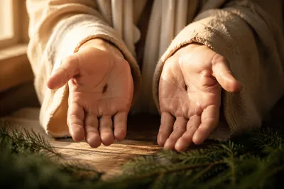 Resurrection Hands with Evergreen Hope