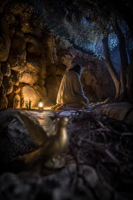 Jesus Praying in Gethsemane at Night