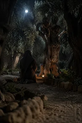 Jesus Praying in Gethsemane at Night