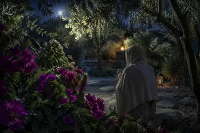 Jesus Praying in Gethsemane at Night
