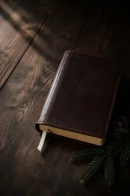 Leather Bible on Dark Wood with Evergreen