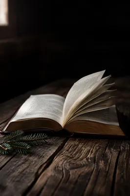 Open Leather Bible on Dark Rustic Wood