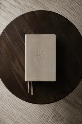 Leather Bible on Dark Wooden Table