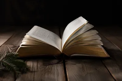 Open Leather Bible on Rustic Wood