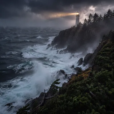 Lighthouse Beacon Through Stormy Evergreen Coast