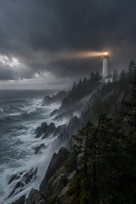 Lighthouse Beacon Through Stormy Evergreen Coast