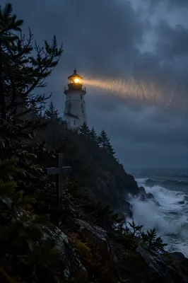 Lighthouse Beacon Through Stormy Evergreen Coast