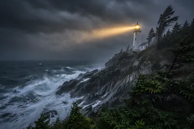 Lighthouse Beacon Through Stormy Evergreen Coast