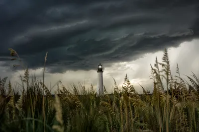 Lighthouse Beacon Through Evergreen Storm Grass