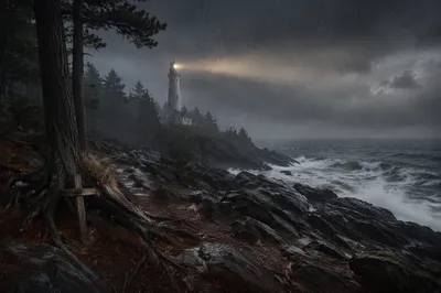 Lighthouse Beacon Beyond Stormy Evergreen Coast