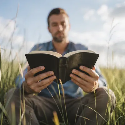 Man Reading Bible in Morning Meadow