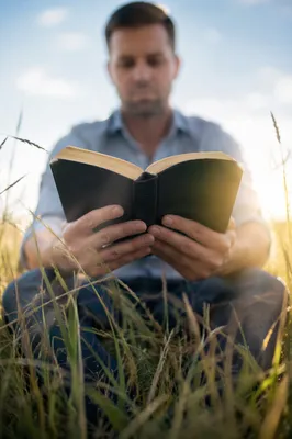 Man Reading Bible in Morning Meadow Light