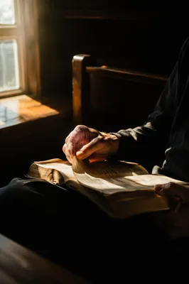 Man Reading Bible in Morning Light