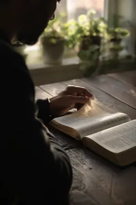Morning Bible Reading in Soft Window Light