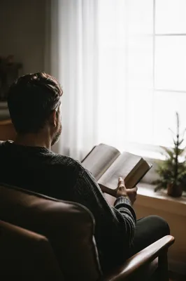 Morning Bible Reading by Evergreen Window