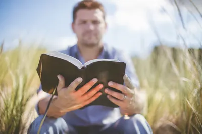 Man Reading Bible in Morning Meadow Light