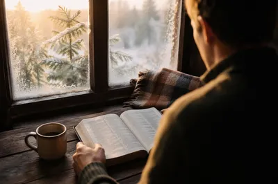 Morning Bible Reading by Evergreen Window