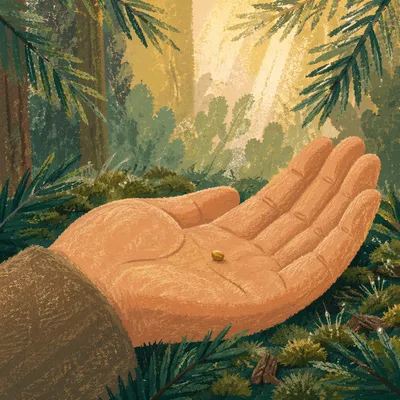 Mustard Seed Resting in Gentle Palm