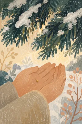 Mustard Seed in Winter Palm