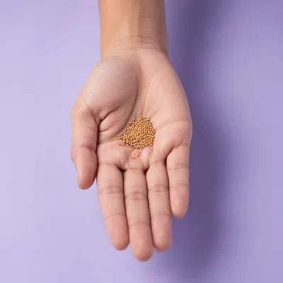 Mustard Seeds Resting in Open Palm