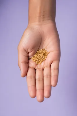 Mustard Seeds Resting in Open Palm