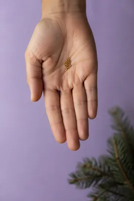 Mustard Seeds in Open Palm with Evergreen
