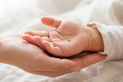 Mustard Seed Resting in Gentle Palm