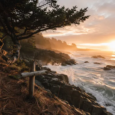 Driftwood Cross by Sunrise Ocean Waves