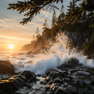 Evergreen Cliff Sunrise Over Crashing Waves