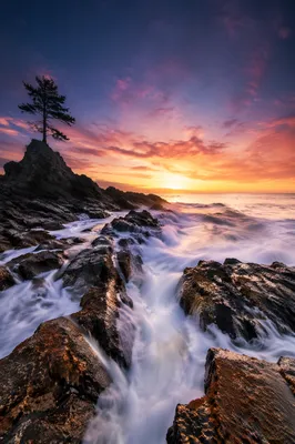 Sunrise Waves Crashing on Evergreen Coast