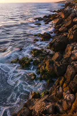 Sunrise Waves Over Evergreen Rocky Shoreline