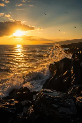Ocean Waves Crashing on Rocks at Sunrise