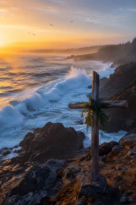 Driftwood Cross Above Sunrise Ocean Waves