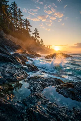 Sunrise Waves Crashing Beneath Evergreen Cliffs