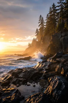 Evergreen Cliffs Above Sunrise Ocean Waves