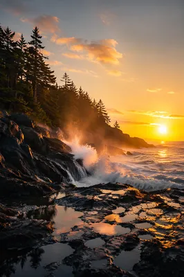 Evergreen Coast Sunrise Over Crashing Waves