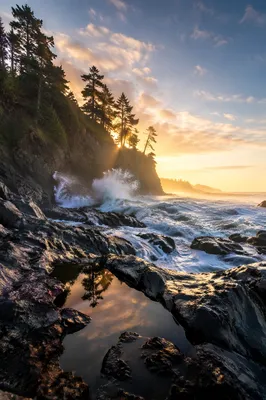 Sunrise Waves on Rocky Evergreen Coast