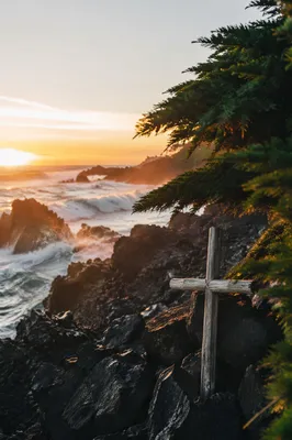 Driftwood Cross at Evergreen Coastal Sunrise