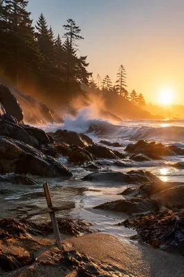 Driftwood Cross at Rocky Ocean Sunrise