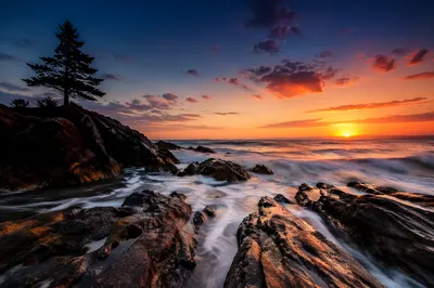 Sunrise Waves Over Rugged Evergreen Coast
