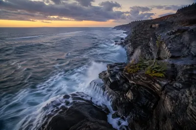 Sunrise Waves Crashing Against Evergreen Cliffs