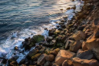 Sunrise Waves Over Evergreen Rocky Shoreline