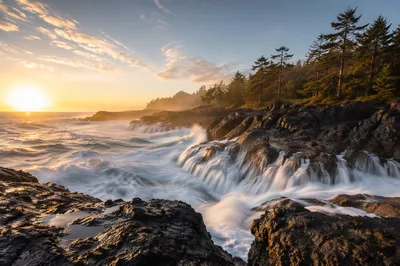 Sunrise Waves Crashing Beneath Evergreen Cliffs