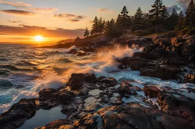 Sunrise Waves on Evergreen Rocky Coast