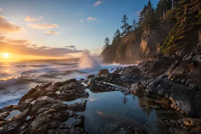 Sunrise Waves on Rocky Evergreen Coast