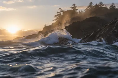 Evergreen Cliffs and Sunrise Ocean Waves