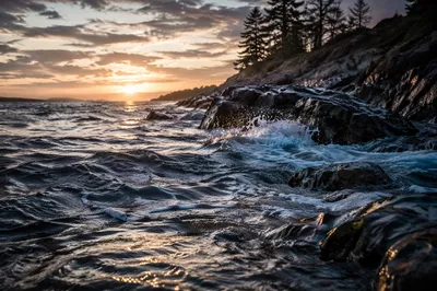 Sunrise Waves Crashing on Evergreen Cliffs